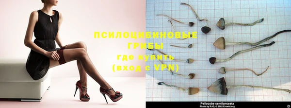 дурь Абинск
