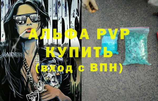 стафф Алзамай