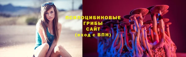 дурь Абинск