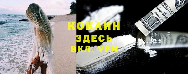 стафф Алзамай